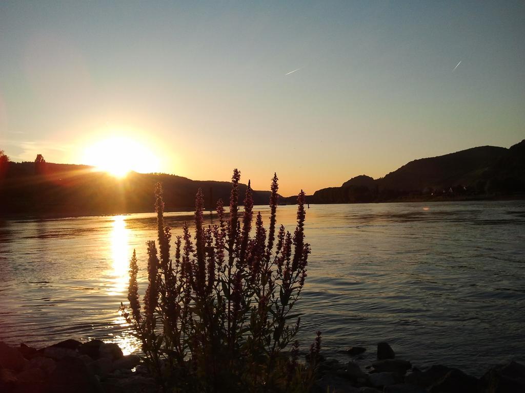 Fe Wo Am Alten Rathaus Andernach Oda fotoğraf